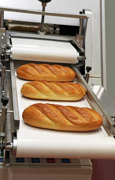 bakery stuff conveying food grade PU belt HIC Universal