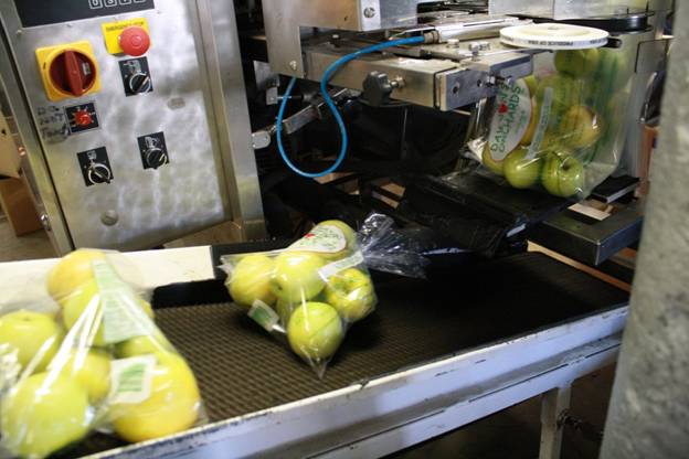 rough top conveyor belt HIC Universal rough top conveyor belt HIC Universal