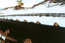 Cold Resistant Rubber Belt