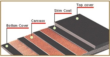 Nomenclature of conveyor-belt