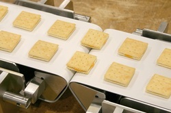 Crocodile Design Belt Lacing